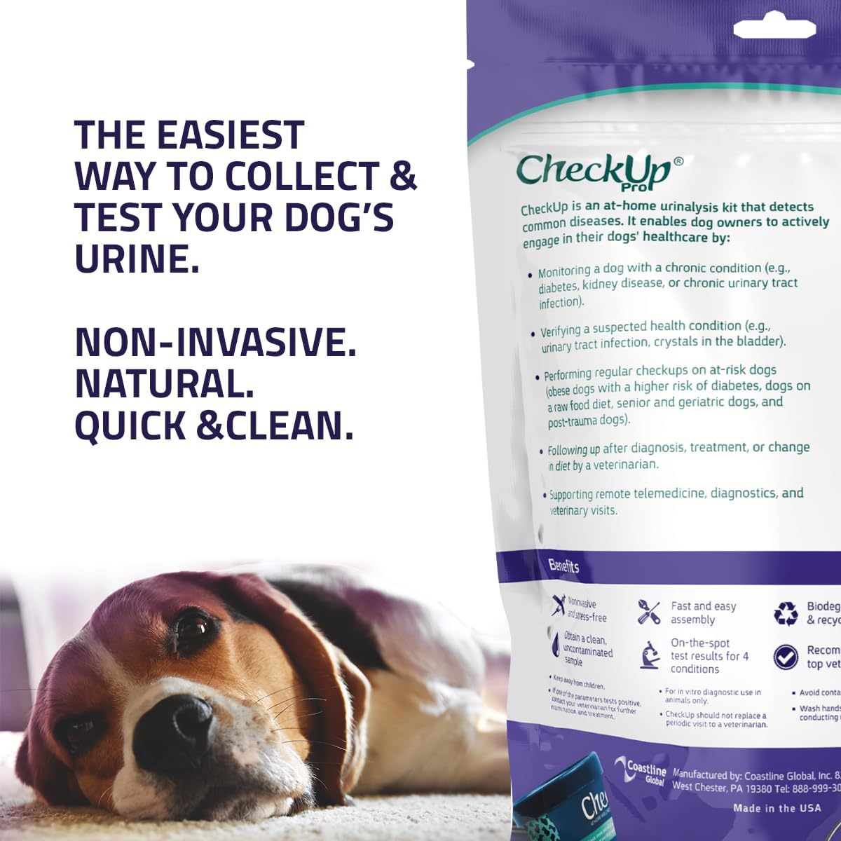 CheckUp Pro at Home Wellness Test for Dogs