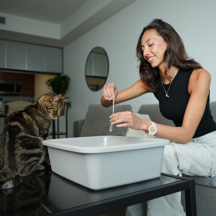 A pet parent using CheckUp with her cat