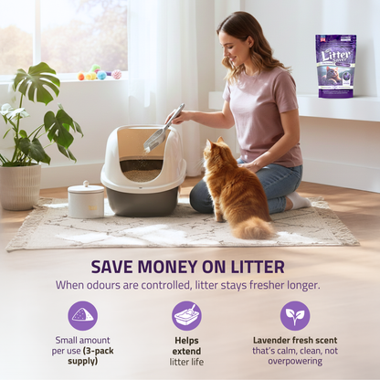 Little Litter Saver | a New Kind of Area Deodorizer for Litter Box