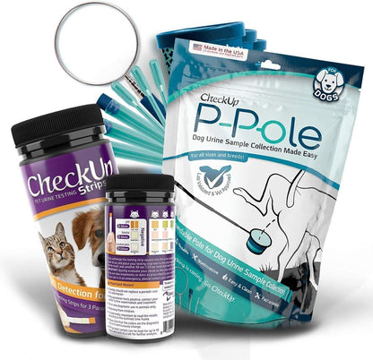 Sample & Test | P-Pole & UTI Test Strips Bundle