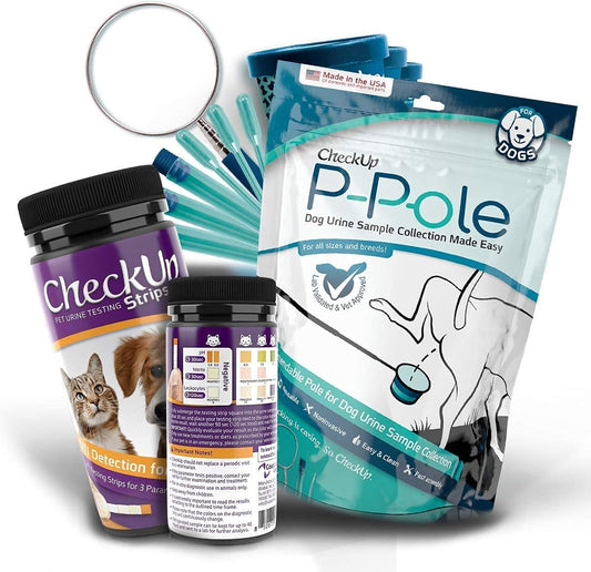 Sample & Test | P-Pole & UTI Test Strips Bundle