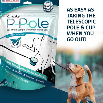 Sample & Test | P-Pole & UTI Test Strips Bundle