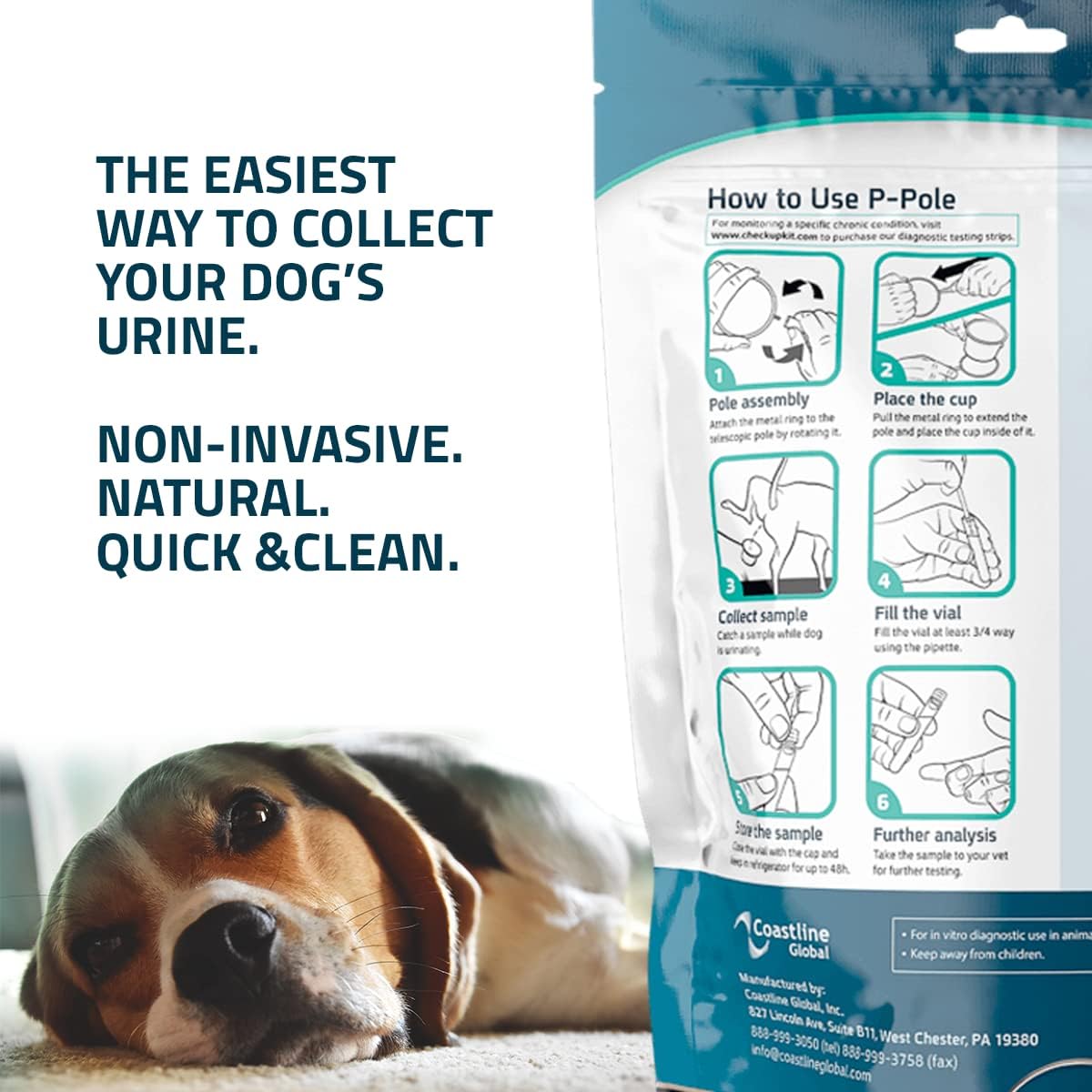 Sample & Test | P-Pole & UTI Test Strips Bundle