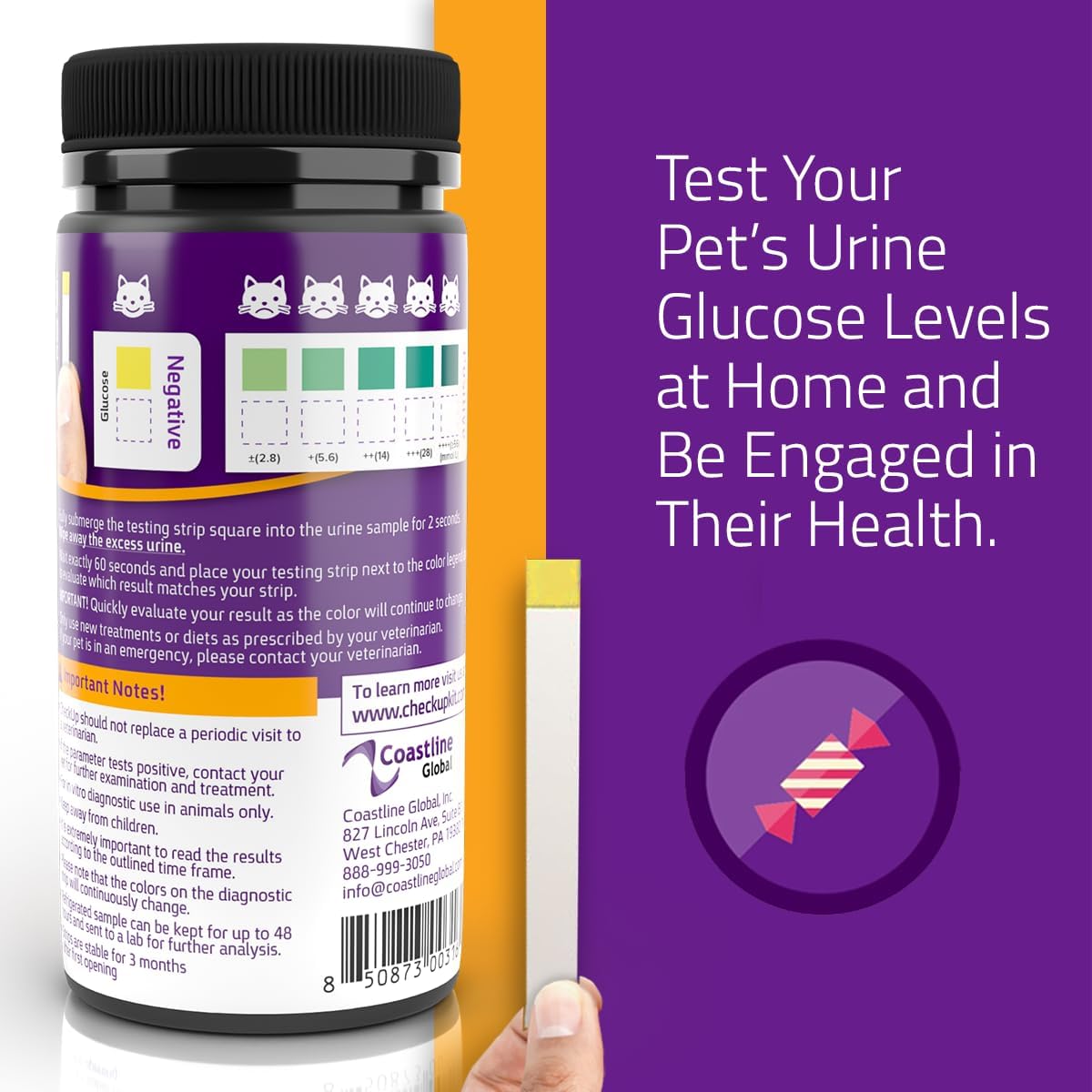 Sample & Test | Kit4Cat & Glucose Test Strips Bundle