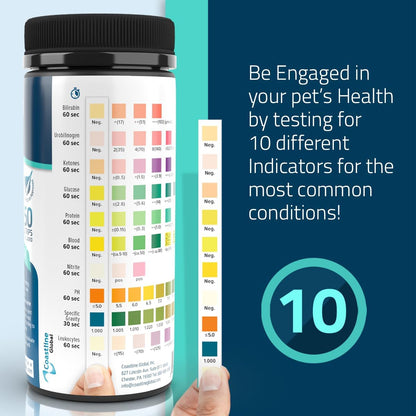 Sample & Test | Kit4Cat & 10 Parameters Test Strips Bundle