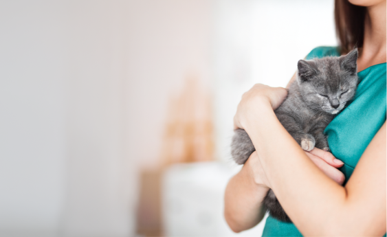 PROTECT YOUR PET’S HEALTH AND CATCH ISSUES EARLY.