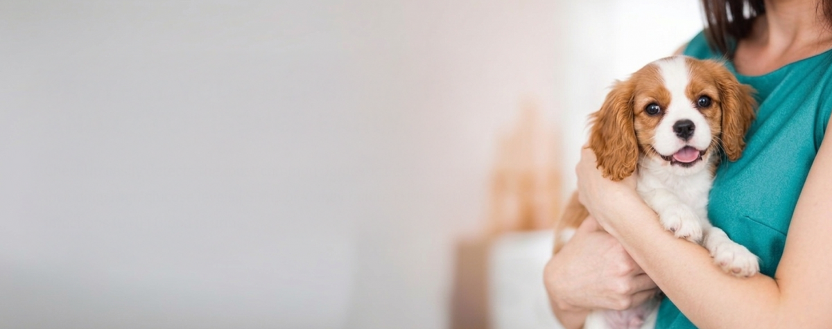 PROTECT YOUR PET’S HEALTH AND CATCH ISSUES EARLY.