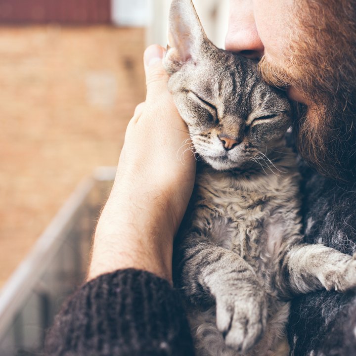 A bearded pet parent cuddling his relaxed cat